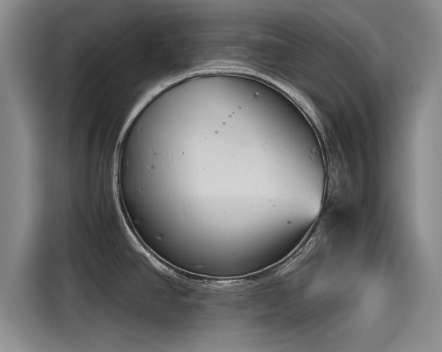 X0000116141390200911301512