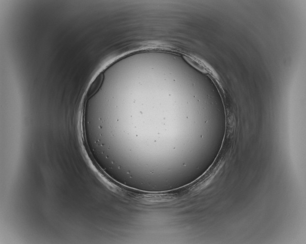 X0000116141391200911301512