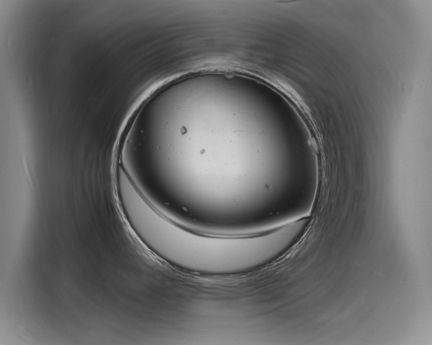 X0000116141392200911301512