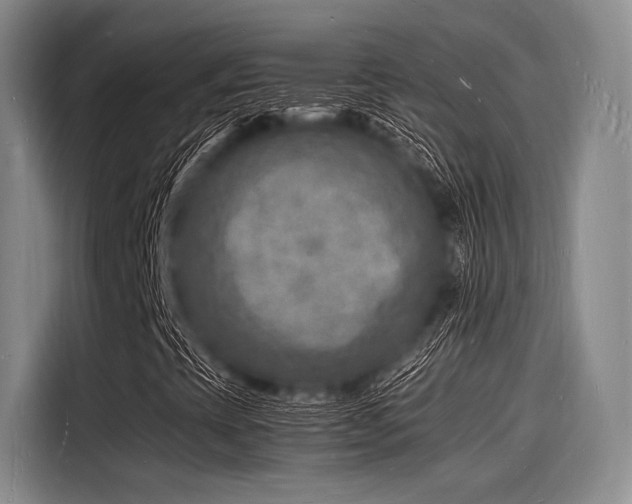 X0000116141393200911301511