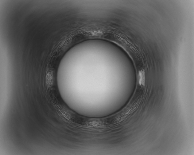 X0000116141395200911301511