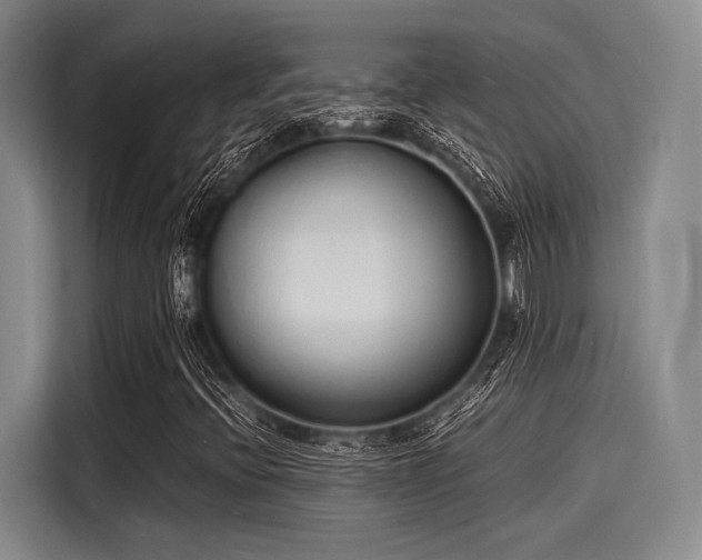 X0000116141396200911301511
