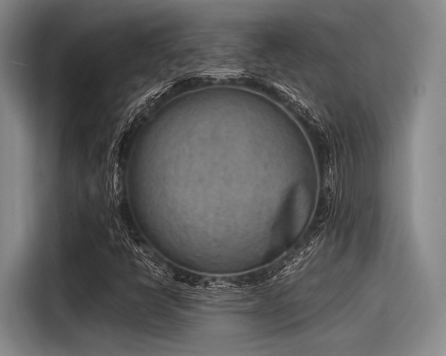 X0000116141398200911301511