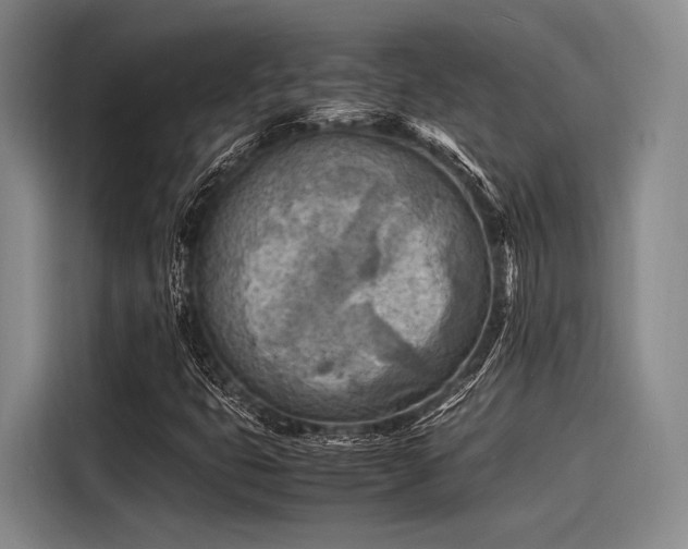 X0000116141399200911301511