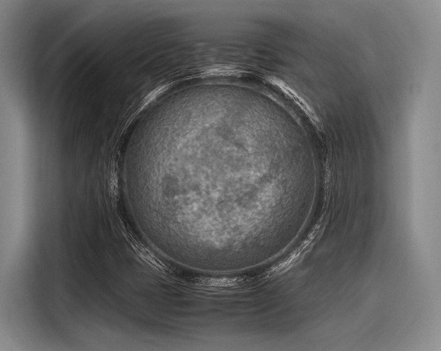 X0000116141401200911301511