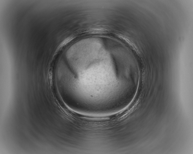 X0000116141402200911301511