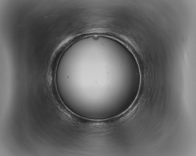 X0000116141406200911301511