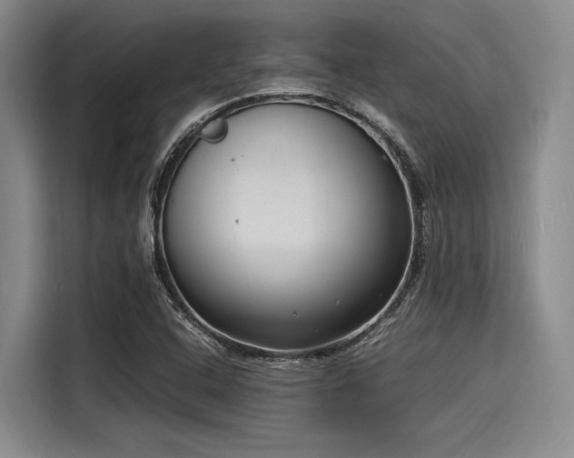 X0000116141408200911301511