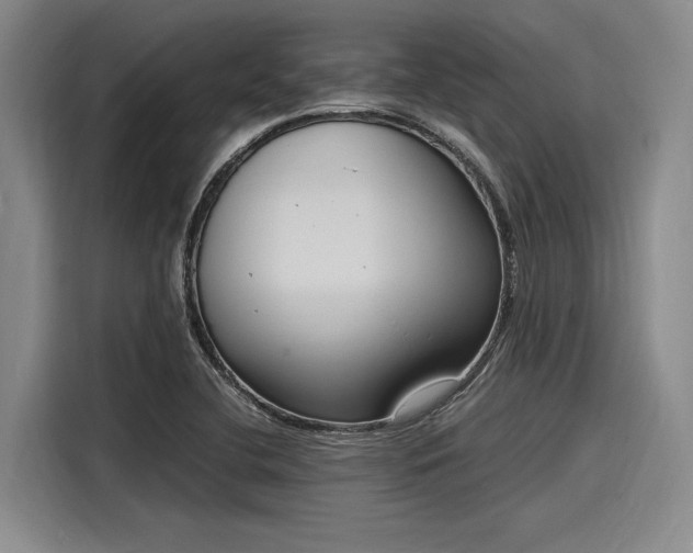 X0000116141412200911301511
