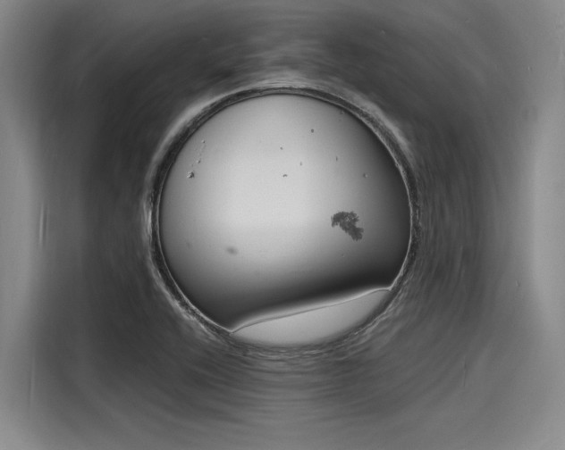X0000116141416200911301511
