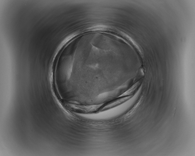 X0000116141418200911301511