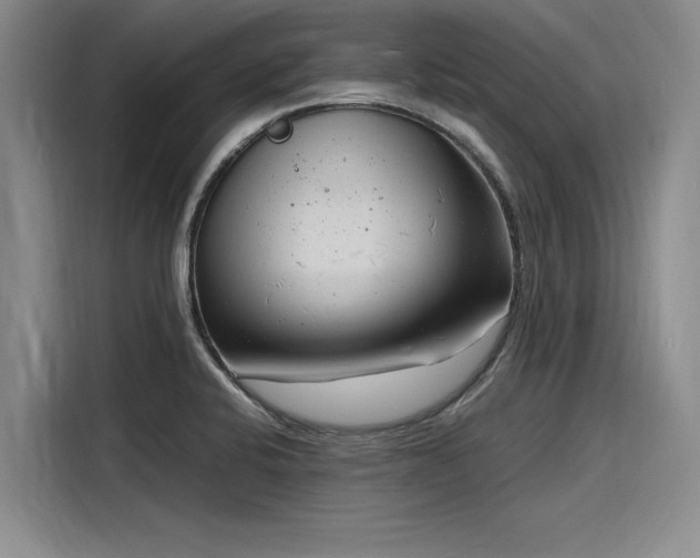 X0000116141424200911301512
