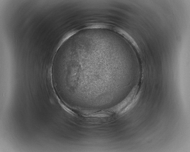 X0000116141425200911301512