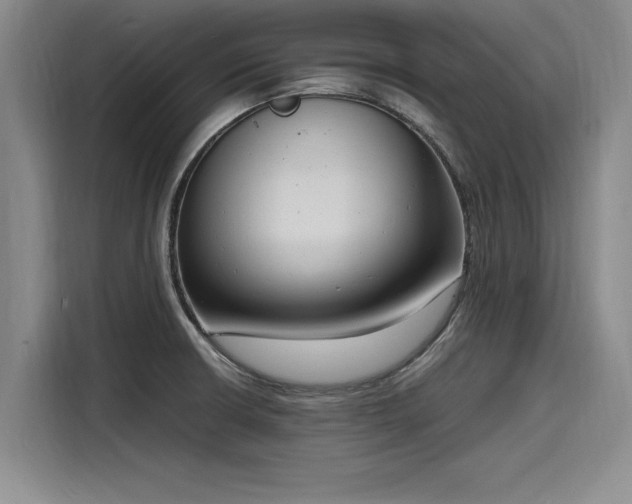 X0000116141426200911301512