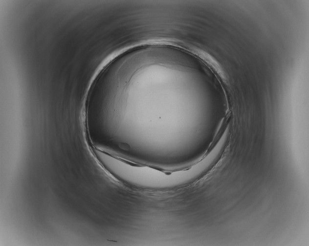 X0000116141428200911301512