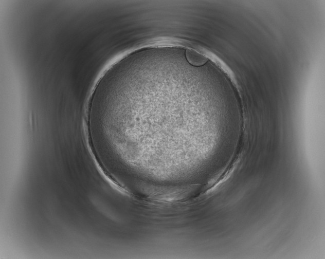 X0000116141429200911301512