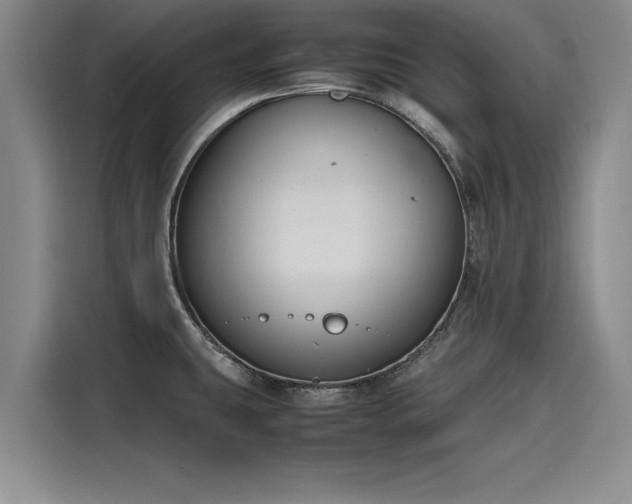 X0000116141431200911301512