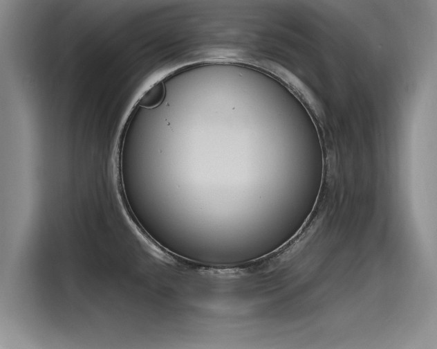 X0000116141432200911301512