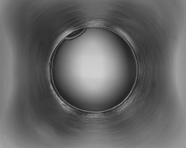 X0000116141434200911301512