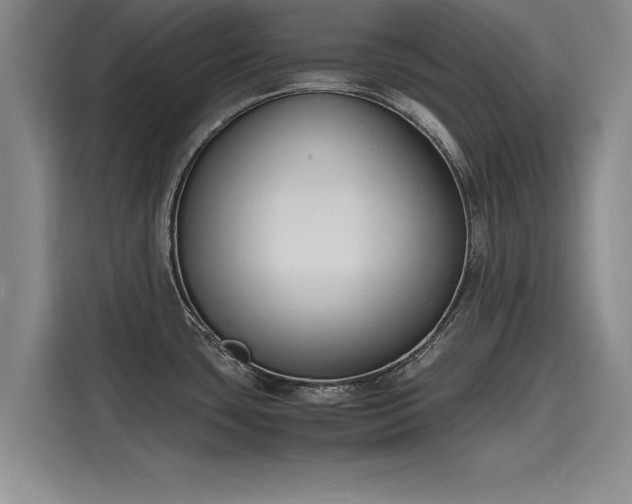 X0000116141435200911301512
