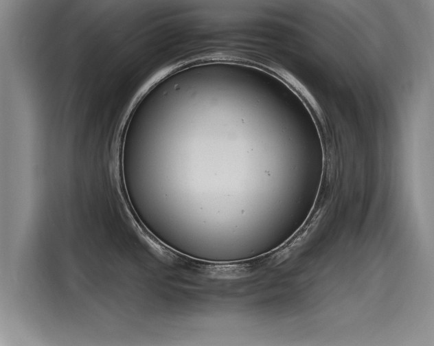X0000116141437200911301512