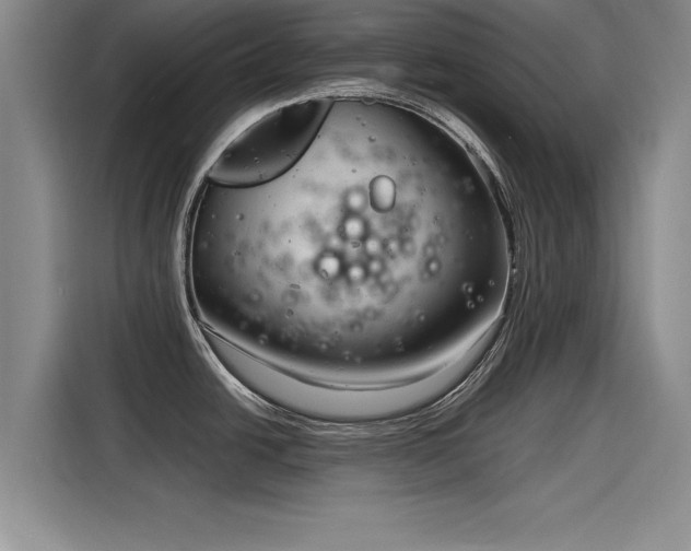 X0000116141438200911301512