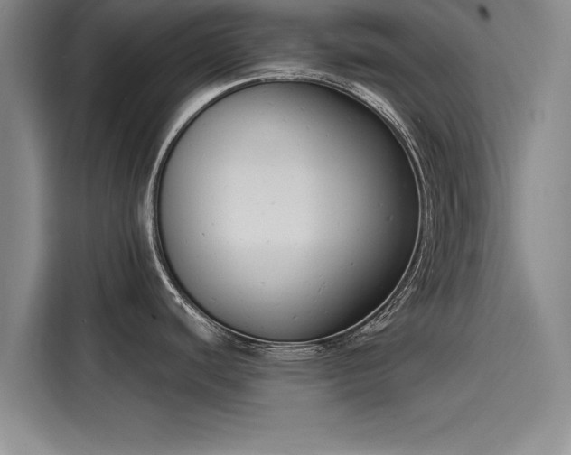 X0000116141440200911301512