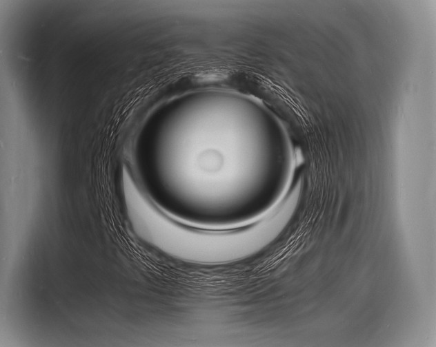X0000116141441200911301511