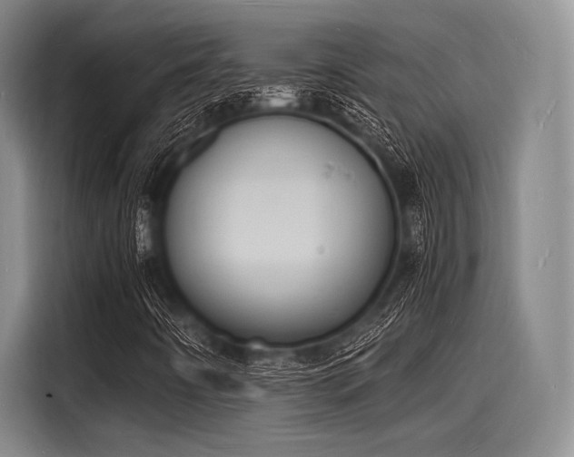 X0000116141442200911301511