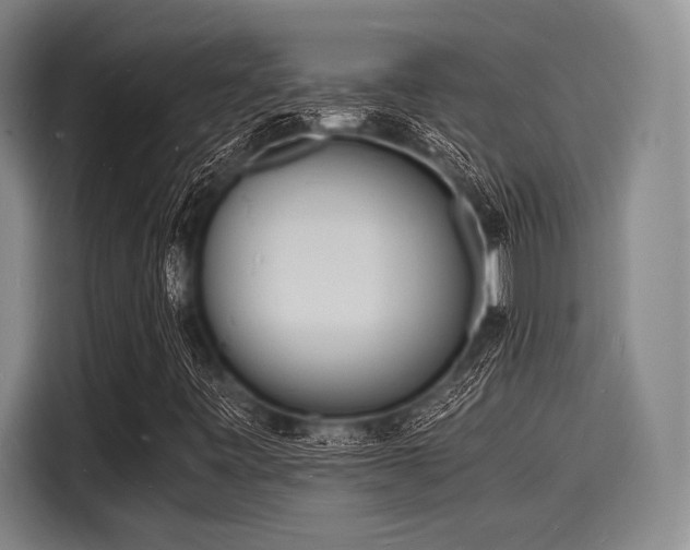 X0000116141443200911301511