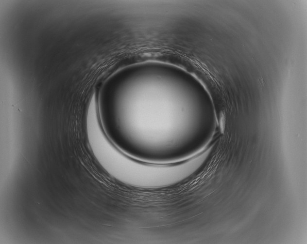 X0000116141444200911301511