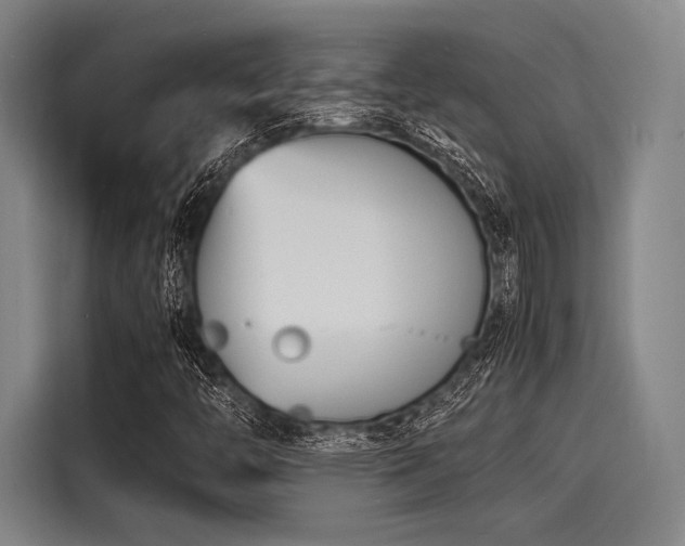 X0000116141446200911301511