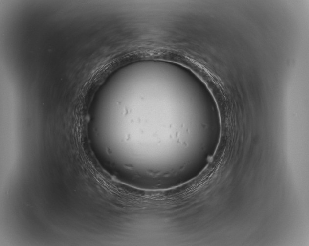 X0000116141447200911301511