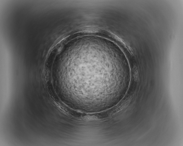 X0000116141448200911301511