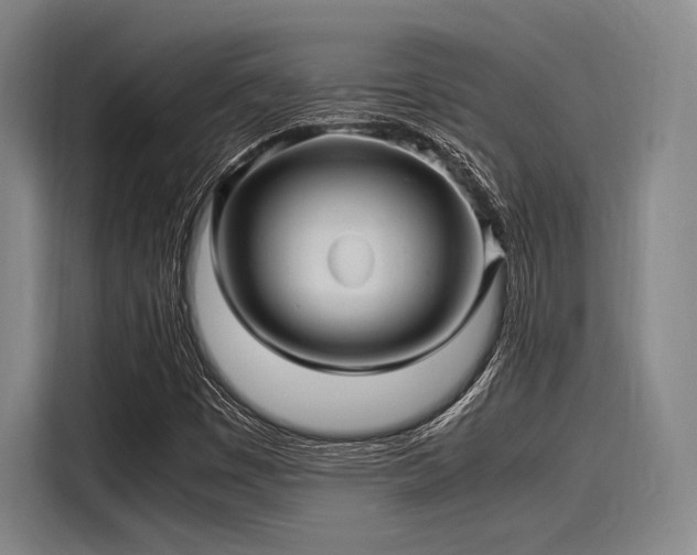 X0000116141449200911301511