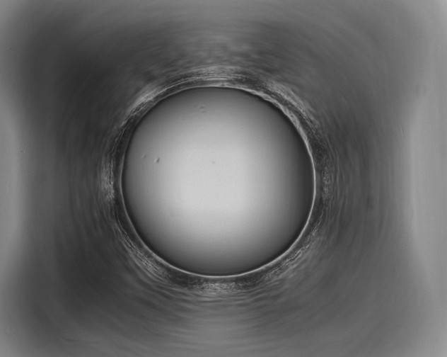 X0000116141451200911301511