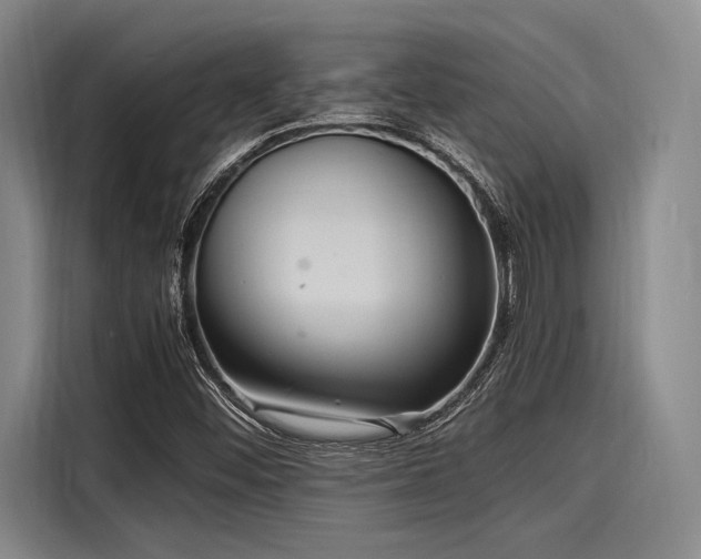 X0000116141452200911301511