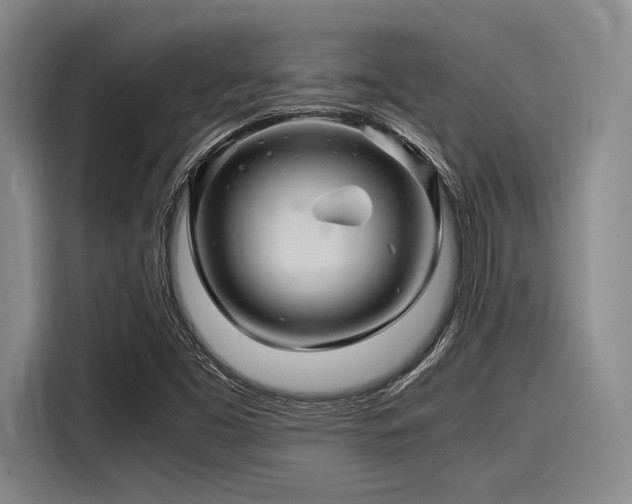 X0000116141453200911301511