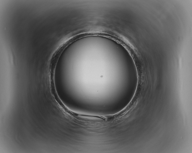 X0000116141456200911301511