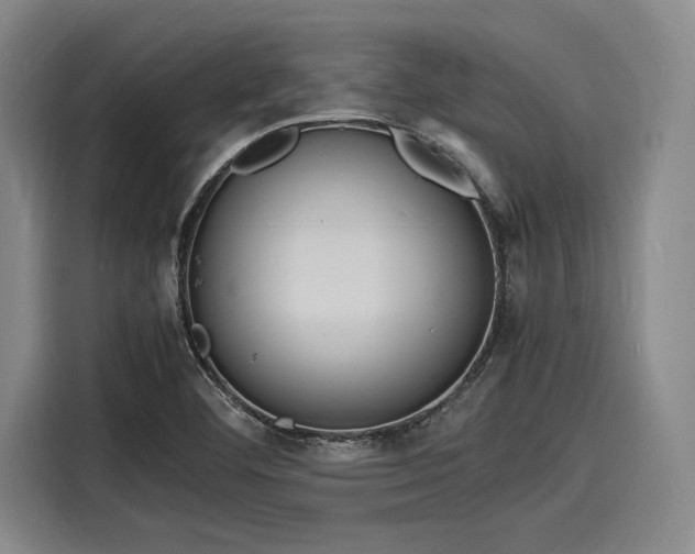 X0000116141460200911301511