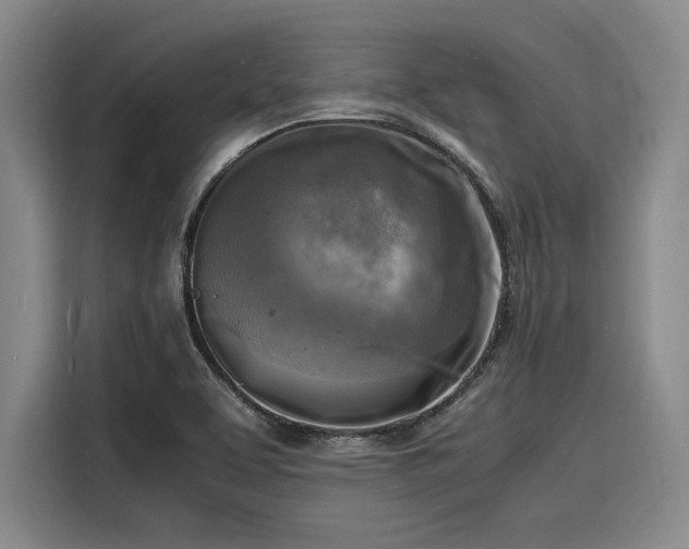 X0000116141463200911301511