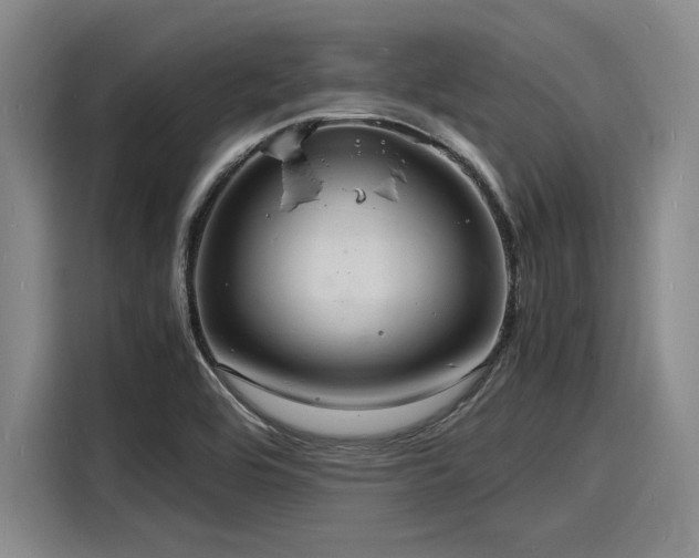 X0000116141464200911301511