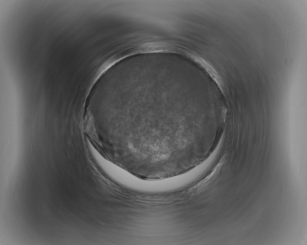 X0000116141465200911301511