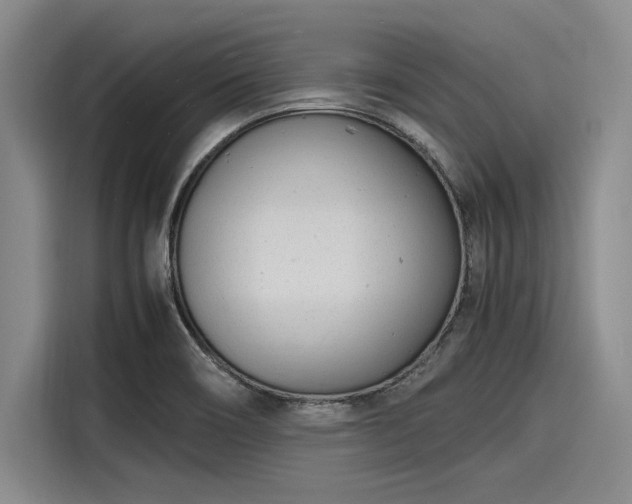 X0000116141466200911301511