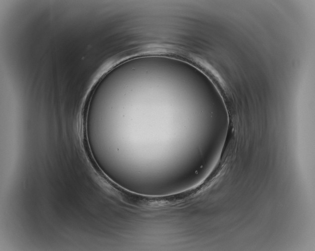 X0000116141467200911301511