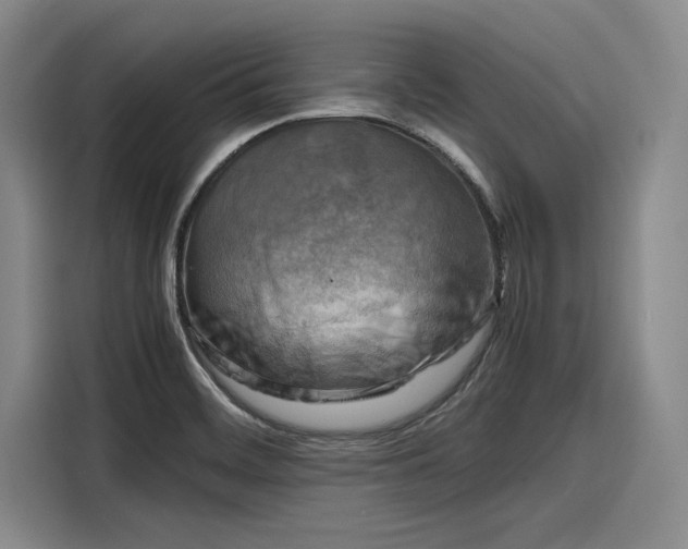 X0000116141468200911301511