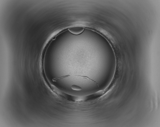 X0000116141469200911301511