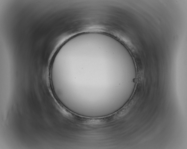 X0000116141470200911301511