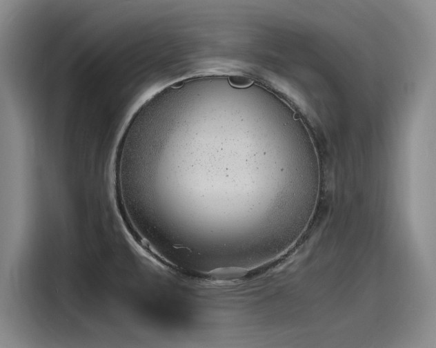 X0000116141471200911301511