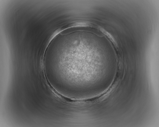 X0000116141473200911301511